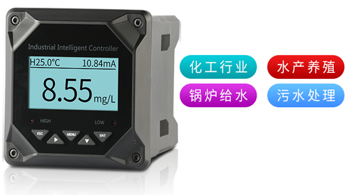 在线式溶解氧测定仪
